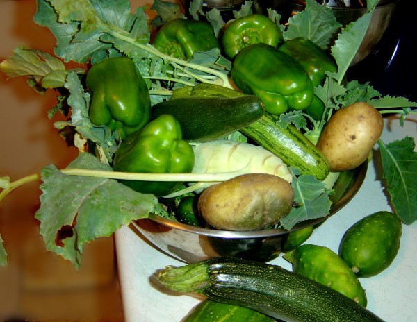 Bowl full of Peppers, pototoes, cucumbers, zucchini and kohlrabi