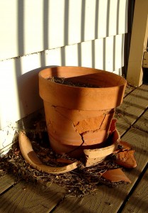 photo of a broken terra cotta flower pot in the sunlight