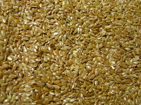 photo of flax seeds
