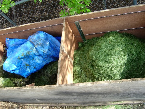 photo of grass composting in a compost bin