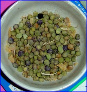 Bowl full of dried peas harvested from the garden