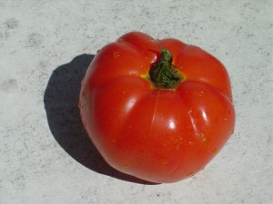 photo of ripe tomato