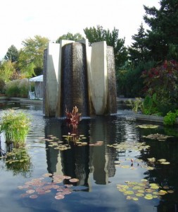 photo of lily pad pond and fountain with reflections