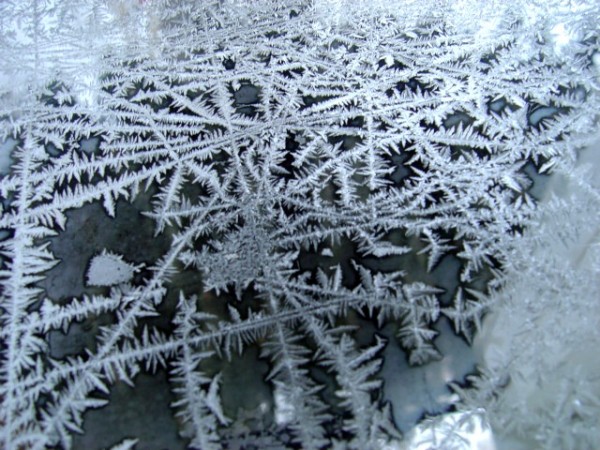 Ice Crystals on Glass - free photo