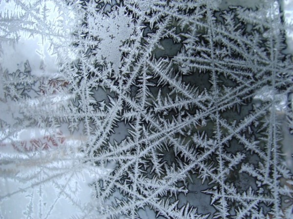 Ice Crystals on Window Pane