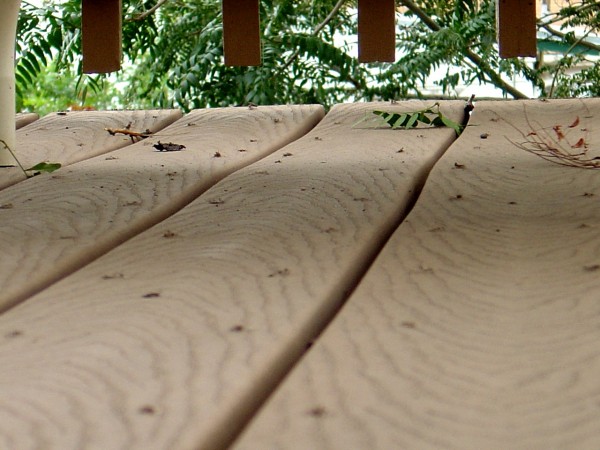 Leaves and Sticks on Deck Boards