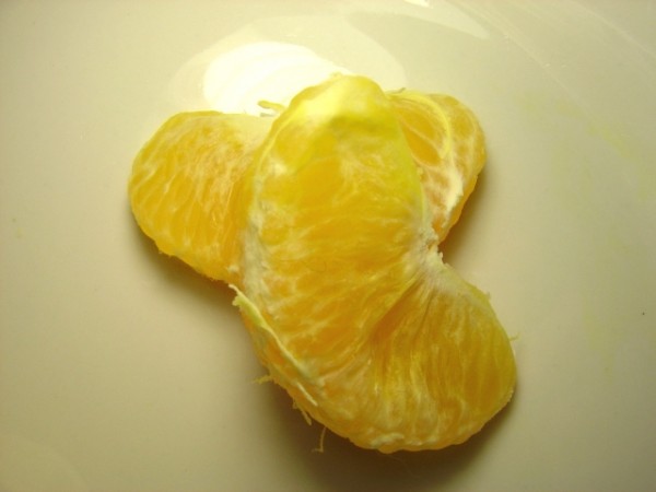 closeup photo of two orange slices