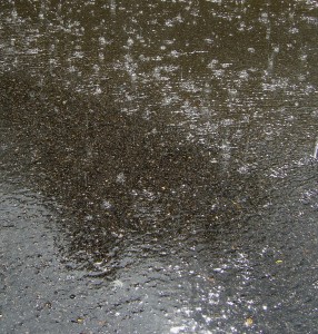 photo of raindrops falling on pavement