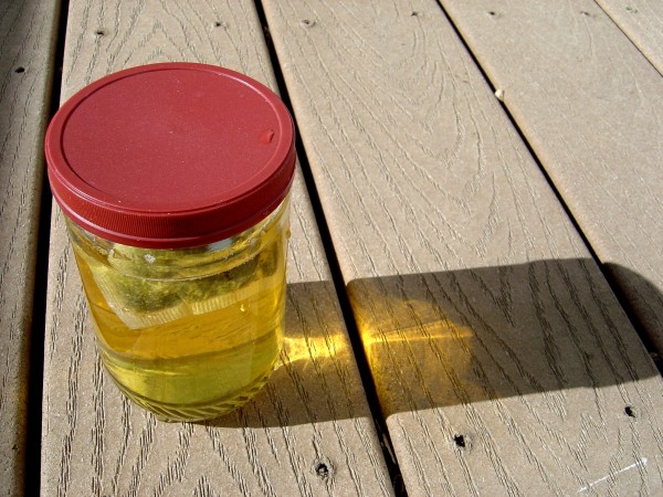 Photo of jar full of green tea in the sunlight