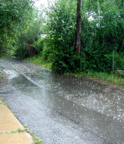 Photo of paved alley during sunny rain storm