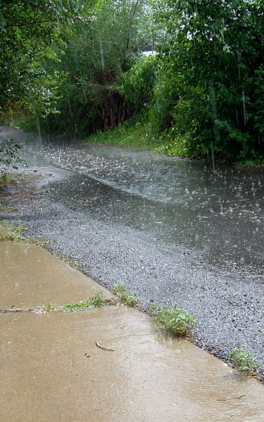 Photo of sunshine and raindrops falling on alley pavement during rain shower