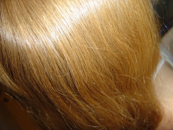 Photo of the top of a red-headed woman's head
