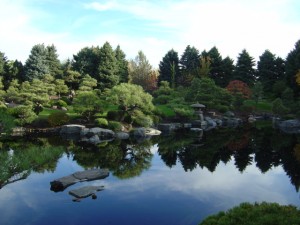 Landscape Photograph of trees reflected in a lake