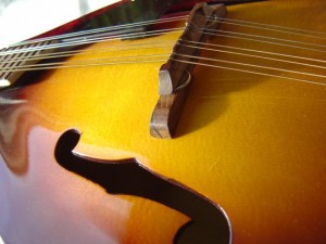 photo of mandolin with bridge and f holes