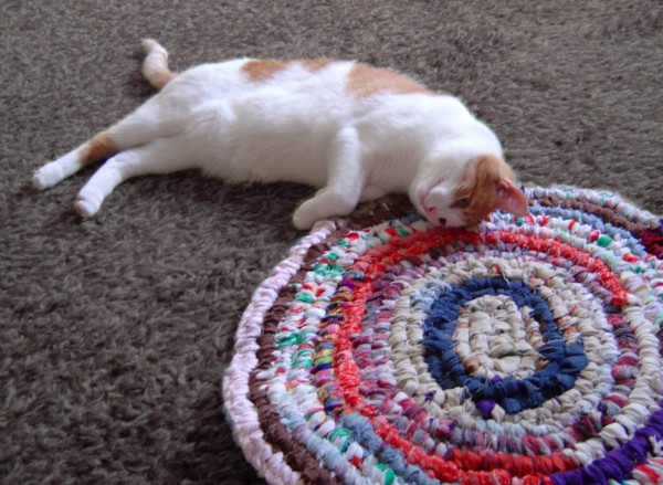 photo of a cute orange cat cuddling on a rag rug