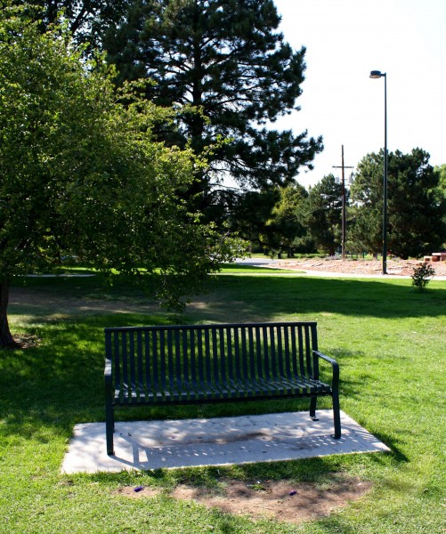 Free photo of a park bench in the shade of a tree