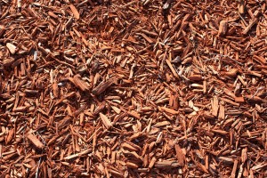 Free photo of red wood chips groundcover mulch