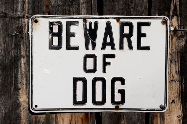 Free photo of beware of dog sign