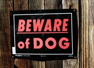 Free picture of beware of dog sign