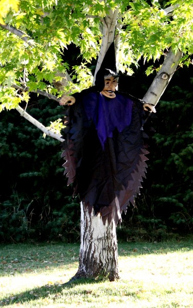 Free photo of Halloween witch yard decoration hanging in a tree