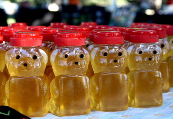 Free photo of honey in bear bottles