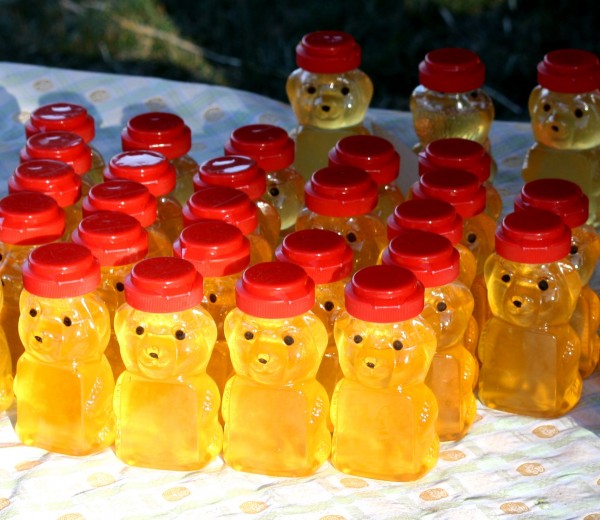 Free photo of rows of honey in bear jars in the sun
