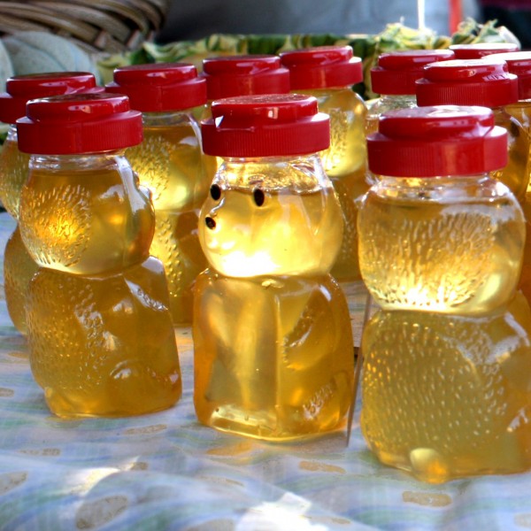 Free Photo of Honey Bears