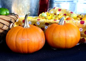Free photo of two pumpkins