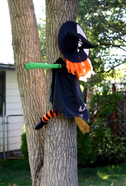 Free photo of a funny Halloween decoration of a witch flying into a tree