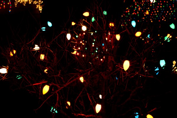 Christmas lights at night - free high resolution photo
