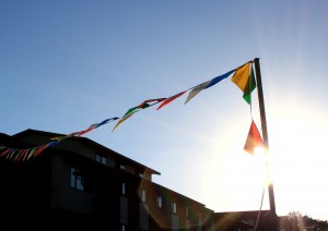 free photo of pennant flags with sun in background