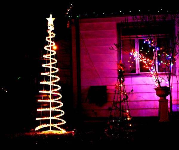 spiral Christmas tree and lights - free high resolution photo
