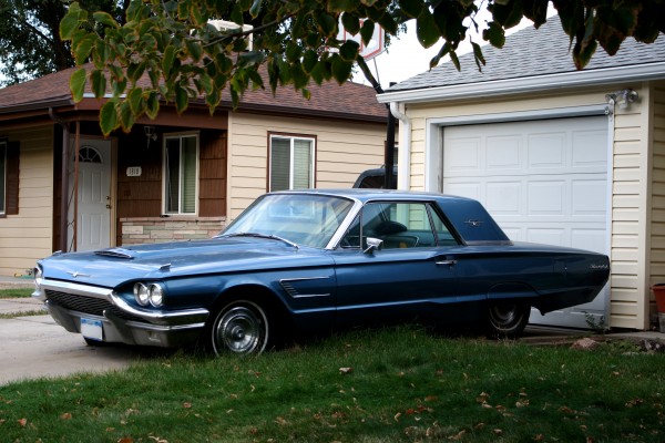 free high resolution photo of a vintage blue thunderbird car