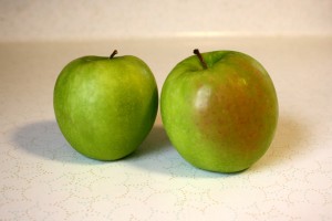 Granny Smith Apples - free high resolution photo