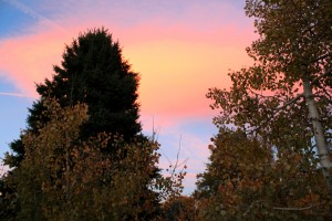 Autumn Trees and Pink Clouds - Free High Resolution Photo