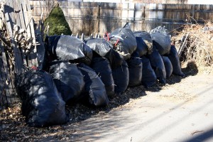 Bags of Leaves - Free High Resolution Photo