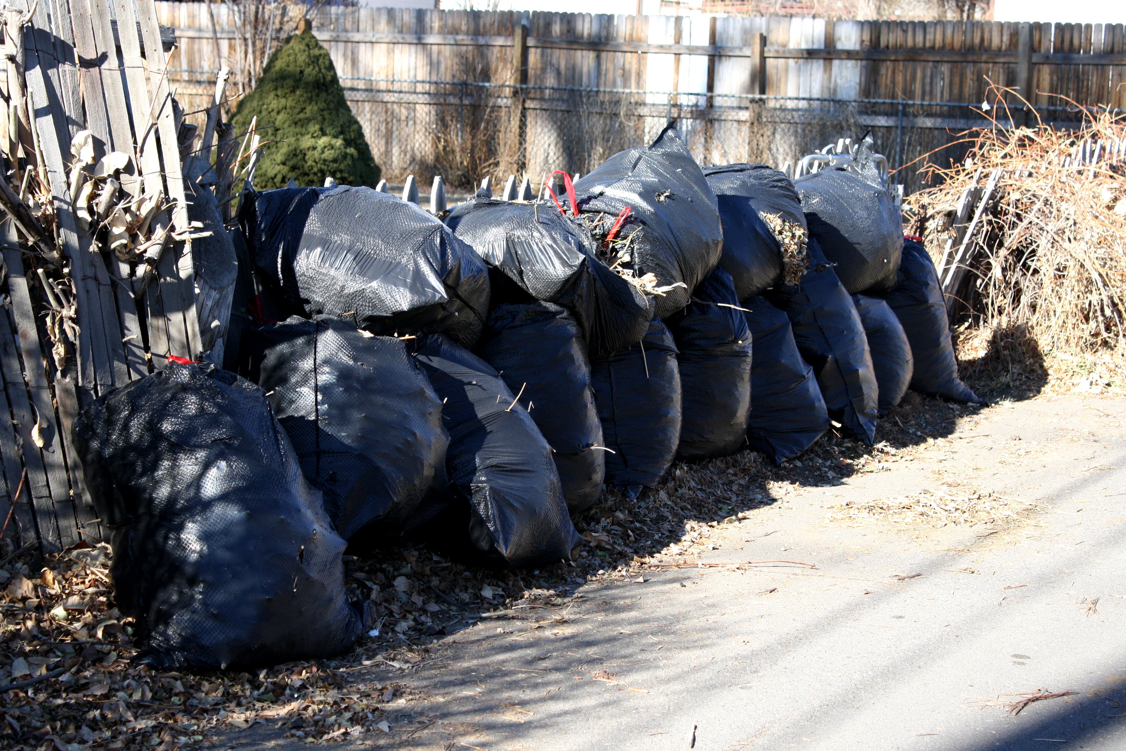 Bags of Leaves Bags of Leaves - Free High Resolution Photo