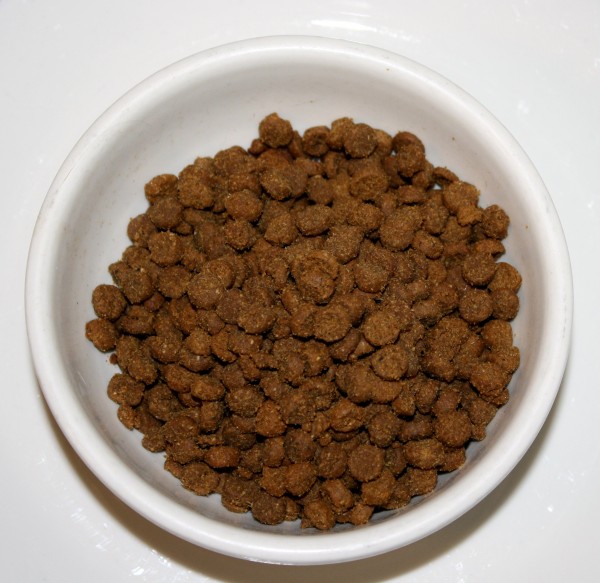 Bowl of Dry Cat Food - free high resolution photo