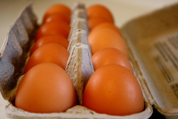 Brown Eggs - Free high resolution photo