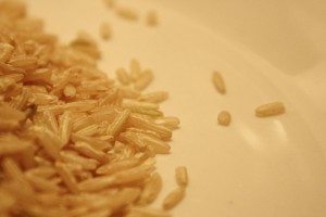 Brown Rice Uncooked - free high resolution photo
