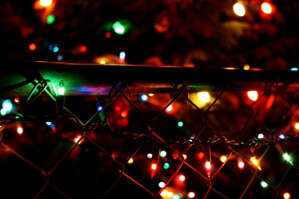 Christmas lights on chain link fence - free high resolution photo