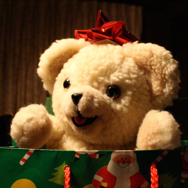 Christmas teddy bear - free high resolution photo