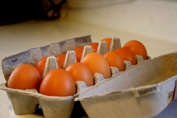 Dozen Eggs - free high resolution photo