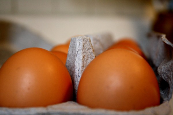 Eggs Closeup - free high resolution photo