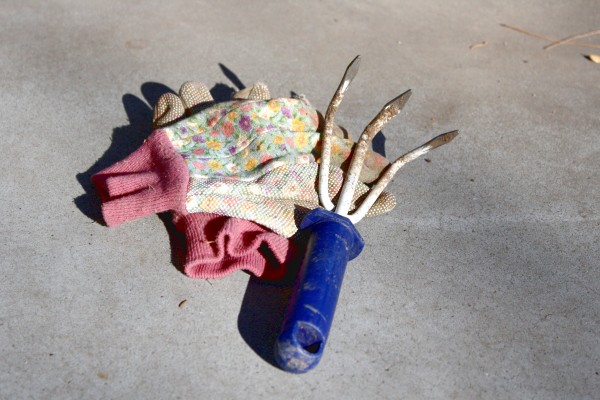 Garden Gloves and 3-prong Weeding Hoe - Free High Resolution Photo