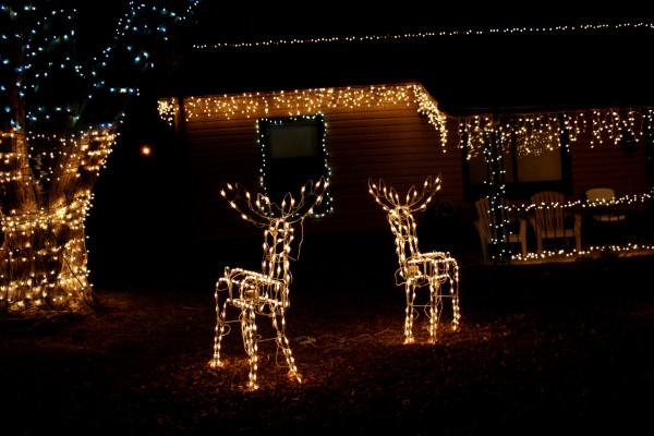 house with Christmas icicle and reindeer lights - free high resolution photo