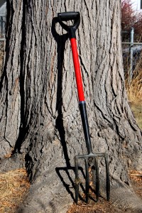 Pitchfork Leaning Against Tree - Free High Resolution Photo