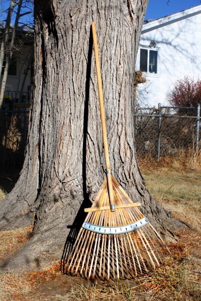 Rake Leaning Against Tree - Free High Resolution Photo