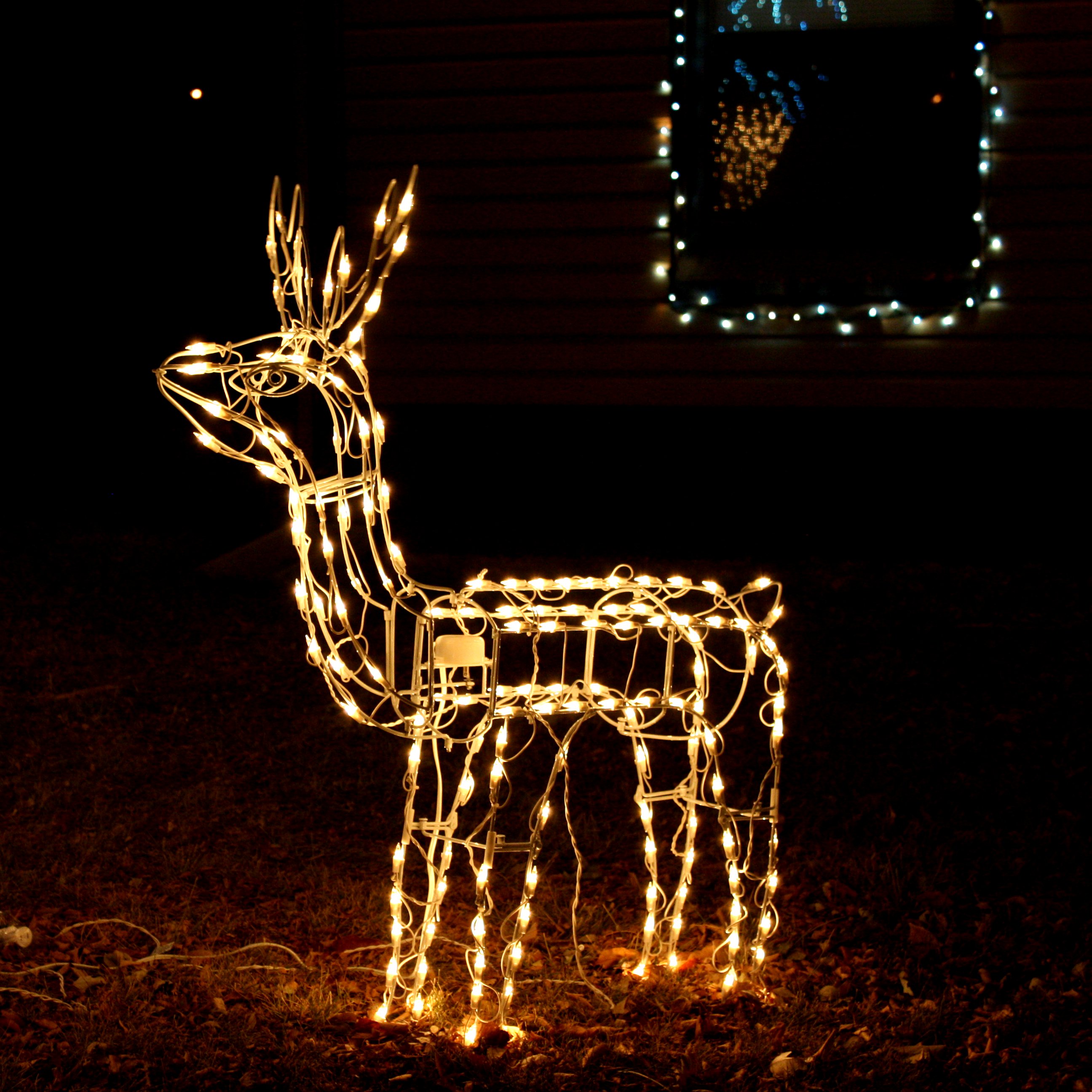Reindeer Christmas Lawn Ornament reindeer Christmas lawn ornament - free high resolution photo