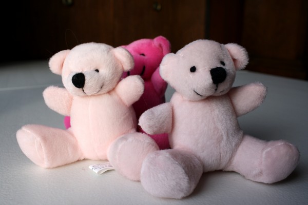 Three Teddy Bears - free high resolution photo